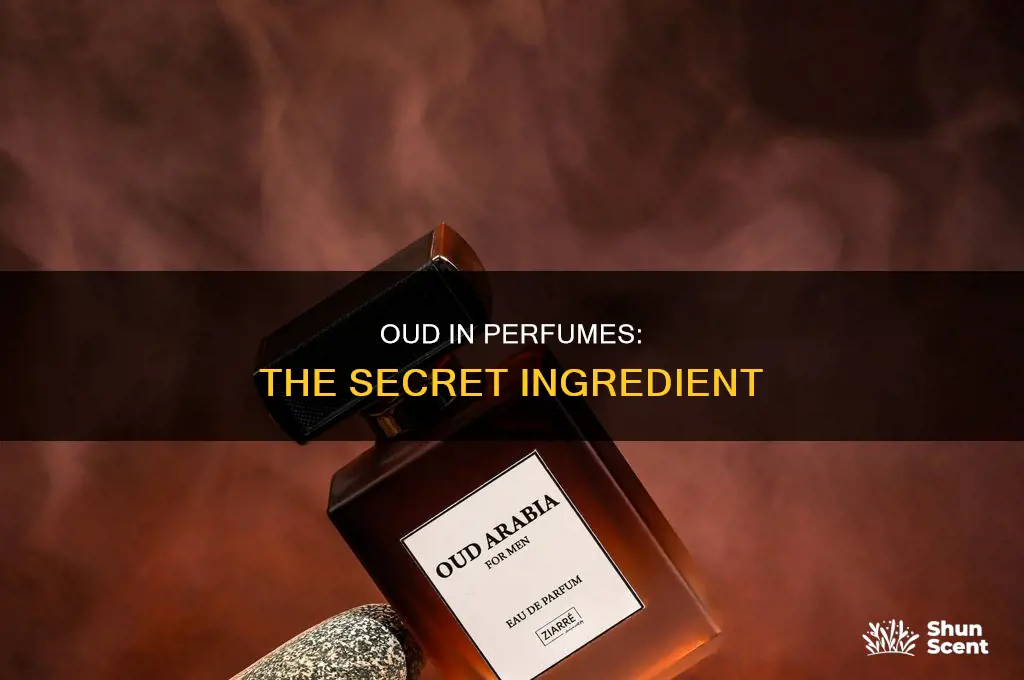 what is an oud in perfume