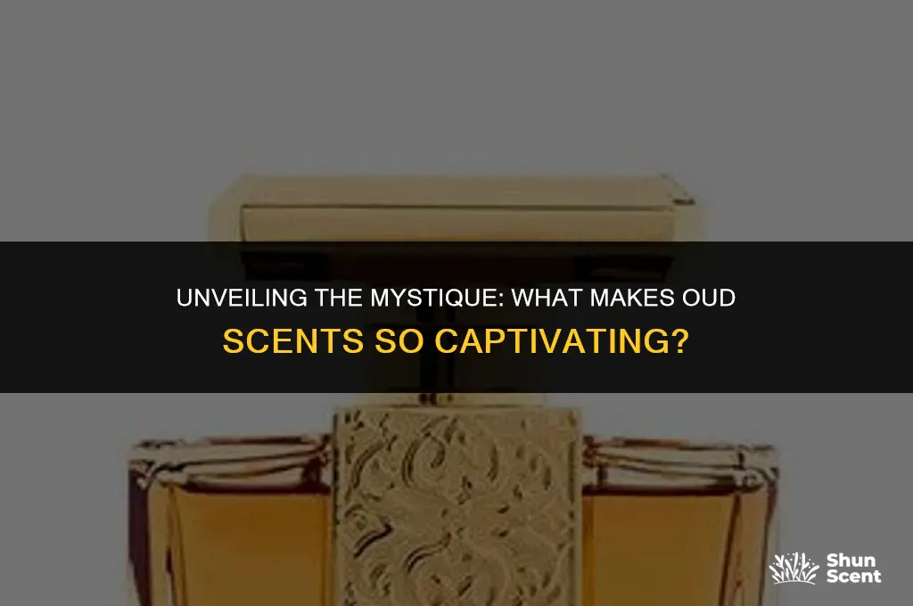 what is an oud scent