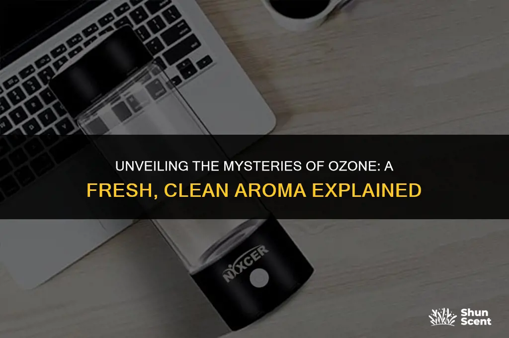 what is an ozone scent