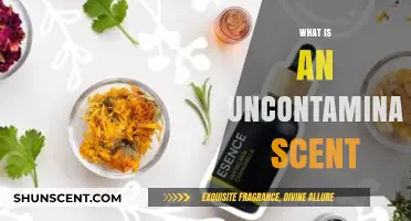 Pure Aromas: Unveiling the Essence of Uncontaminated Scents