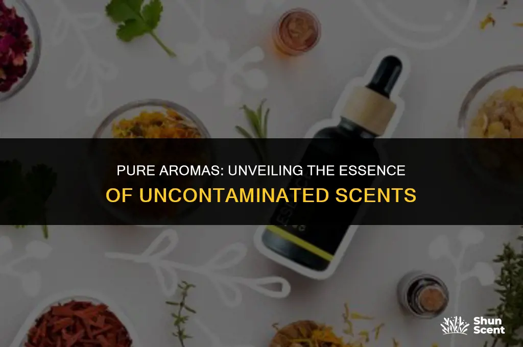 what is an uncontaminated scent