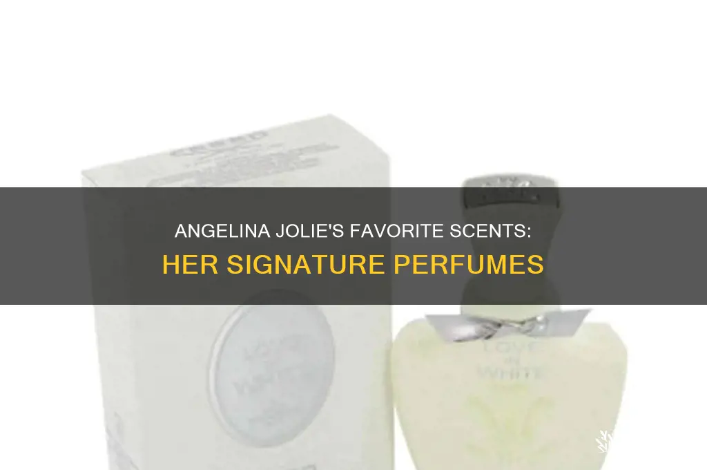what is angelina jolie favorite perfume
