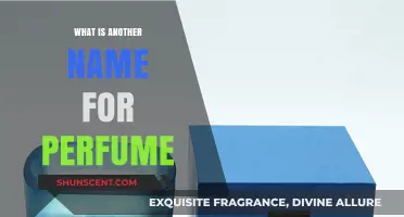 The Fragrance of Names: Exploring Perfume Synonyms