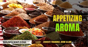 The Magic of Appetizing Aromas: A Culinary Adventure