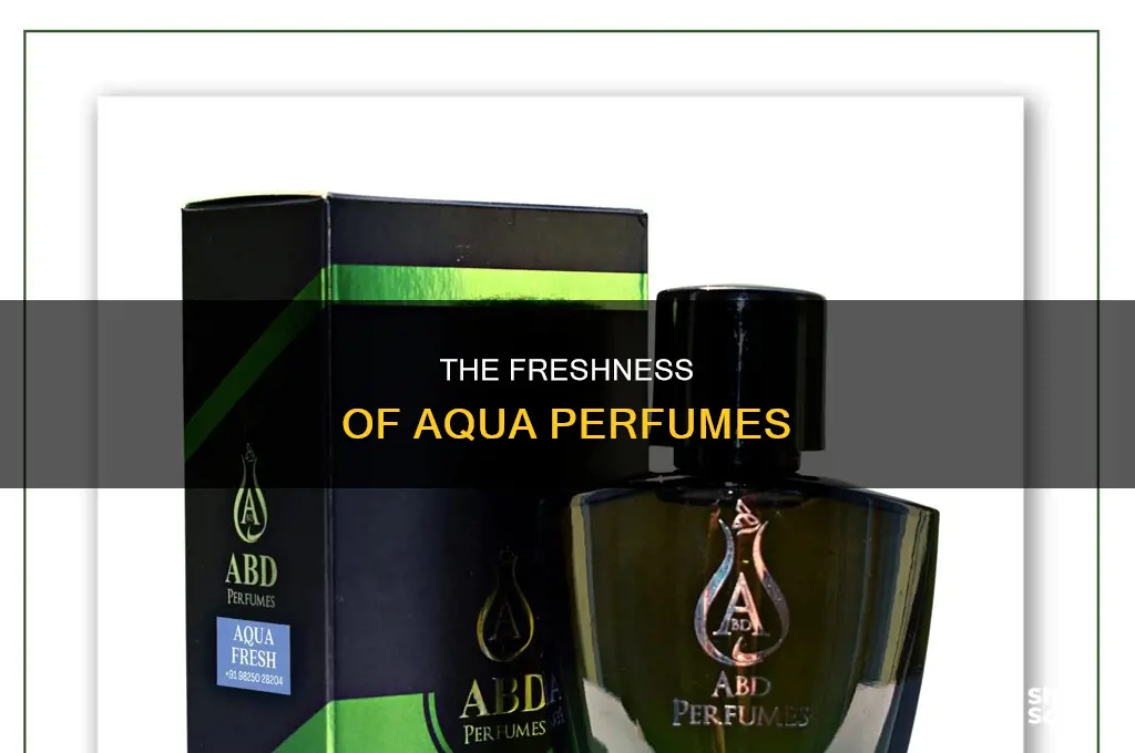 what is aqua perfume