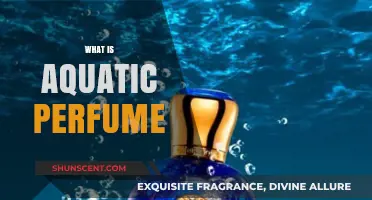 Explore the Aquatic Perfume Universe