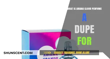 Ariana Cloud Perfume: Dupes and Smell-alikes