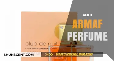 Explore the World of Armaf Perfumes