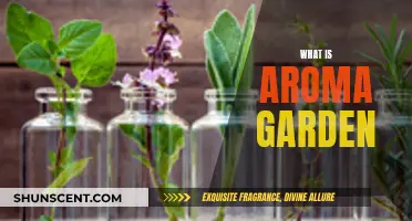 Aromatic Gardens: Nature's Fragrant Therapy