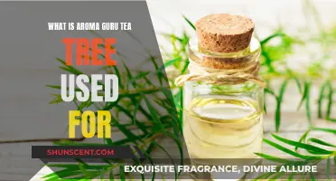 Tea Tree Oil Uses: Aroma Guru's Guide