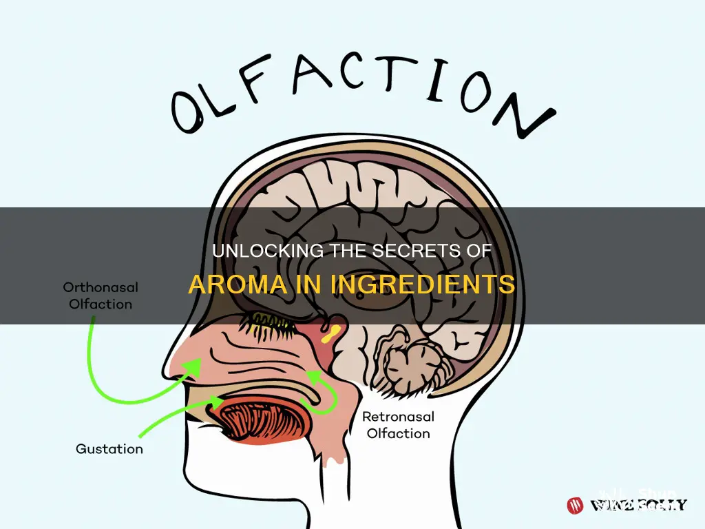 what is aroma in ingredients