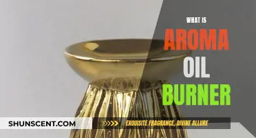 A Guide to Aroma Oil Burners: Enhancing Your Space