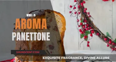 The Sweet Scent of Aroma Panettone