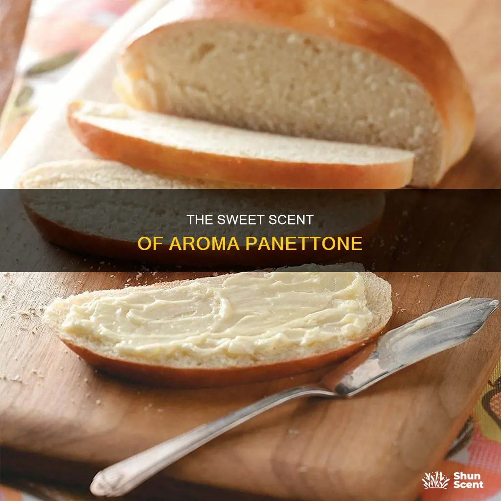 what is aroma panettone