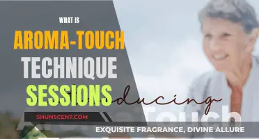 Exploring the Benefits of Aroma-Touch Technique Sessions