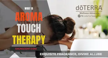 Aromatic Relaxation: AromaTouch Therapy Explained