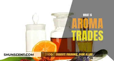 Aroma Trades: Unlocking the Power of Scents and Aromatics