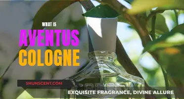 Aventus Cologne: The Fragrance for Men Explained