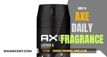 Axe Daily Fragrance: Your Everyday Scent