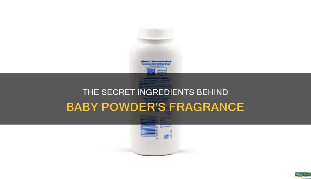 what is baby powder fragrance made of