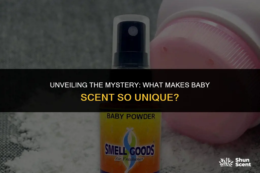 what is baby scent