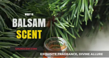 Unveiling the Soothing Secrets of Balsam Scent
