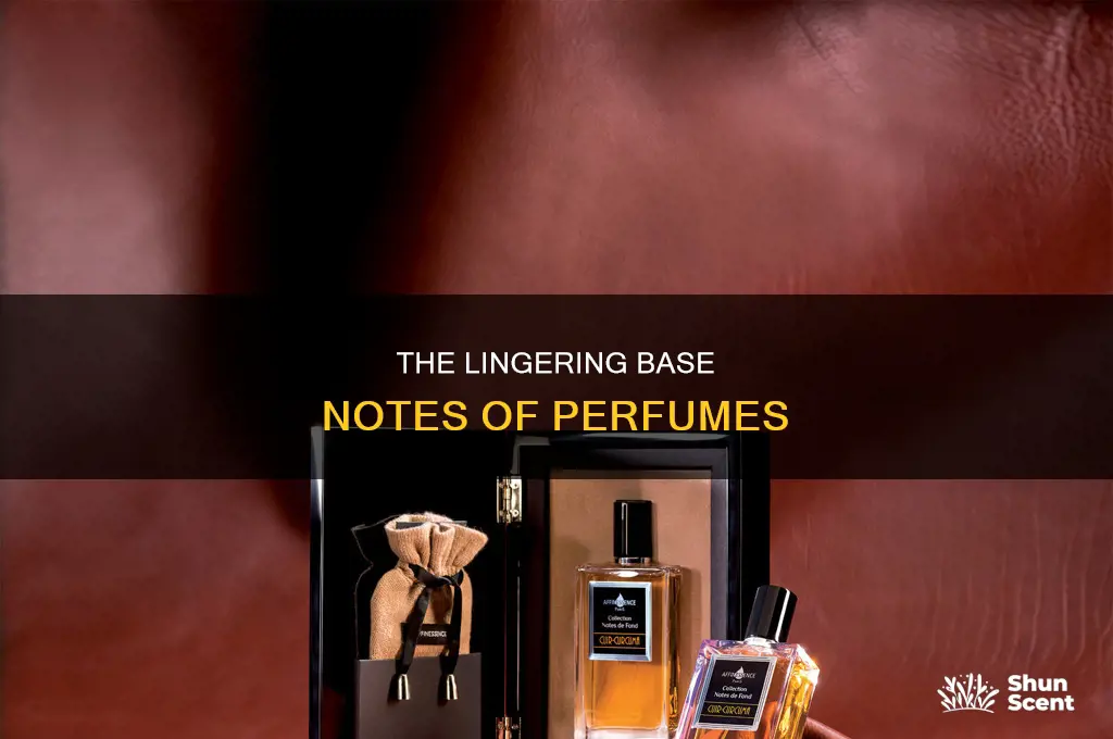 what is base notes in perfume