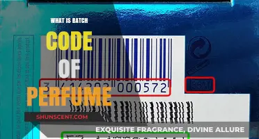 Understanding Perfume: Decoding Batch Codes
