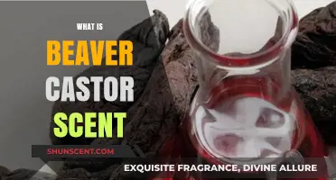 Unveiling the Secrets of Beaver Castor Scent: Nature's Unique Perfume