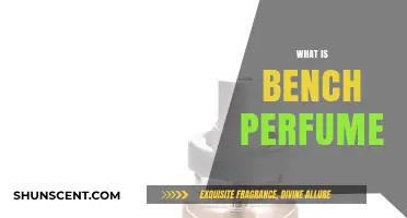 The Bench Perfume: A Scent for Every Memory