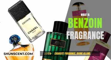 Unveiling the Secrets of Benzoin: A Fragrant Journey