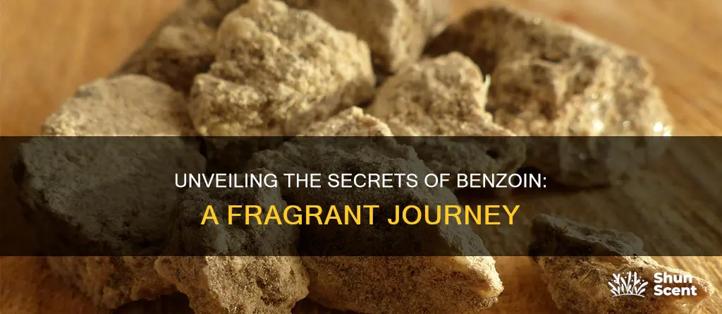 what is benzoin fragrance