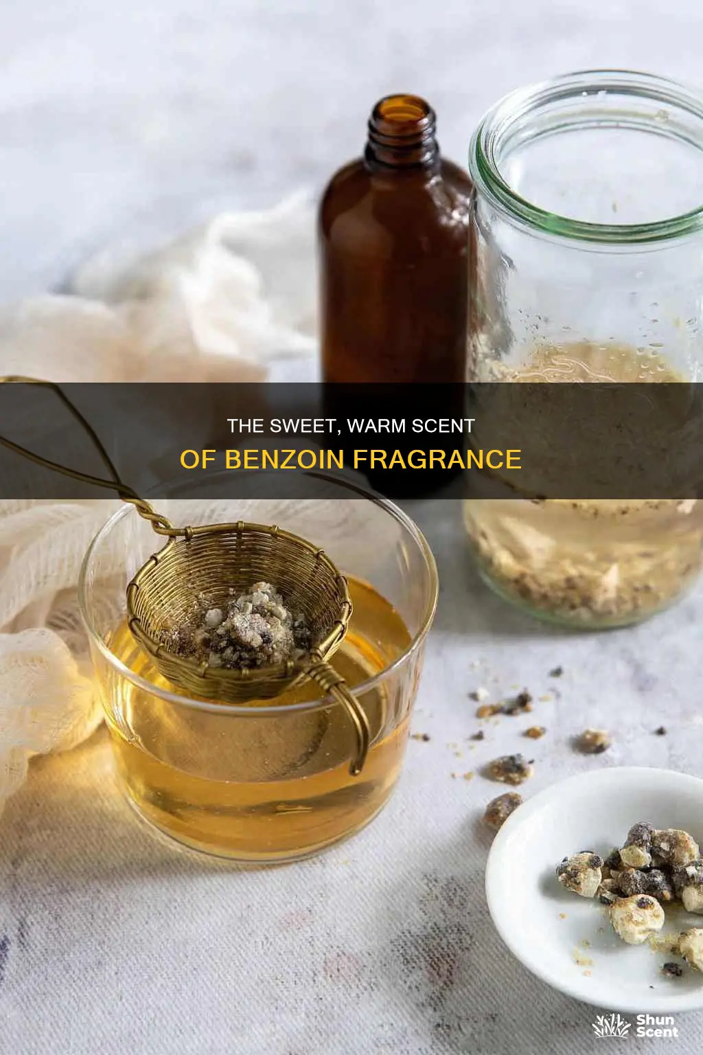 what is benzoin fragrance