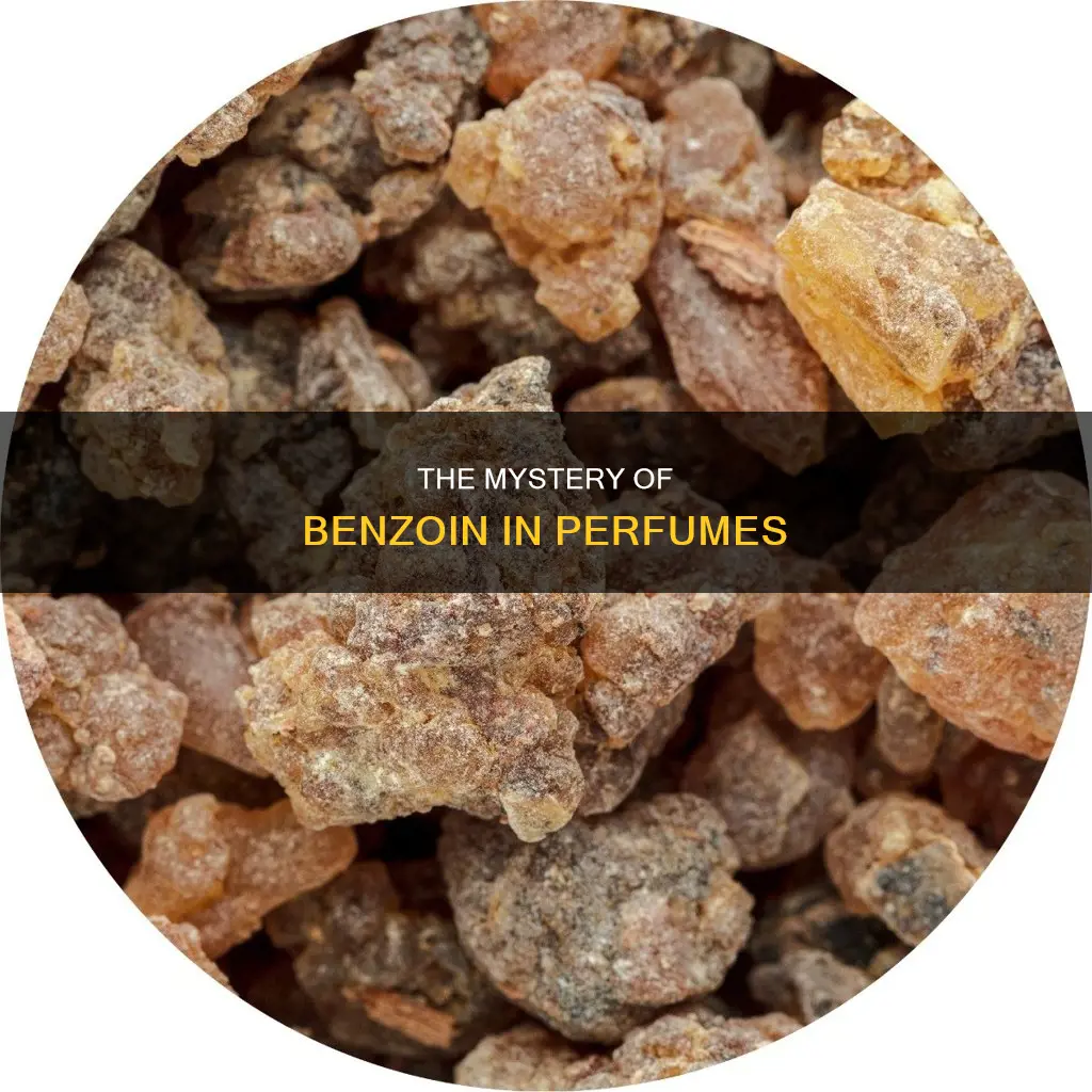what is benzoin in perfume