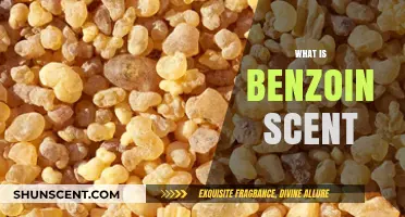 Exploring the Rich, Warm Essence of Benzoin: A Fragrant Journey