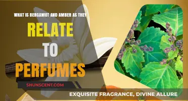 Bergamot and Amber: A Fragrant Duo