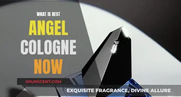 Best Angel Colognes to Wear Right Now