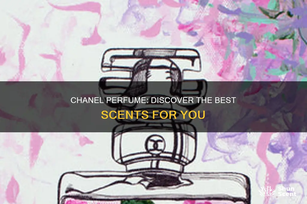 what is best chanel perfume