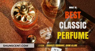 The Best Classic Perfumes: A Timeless Scent