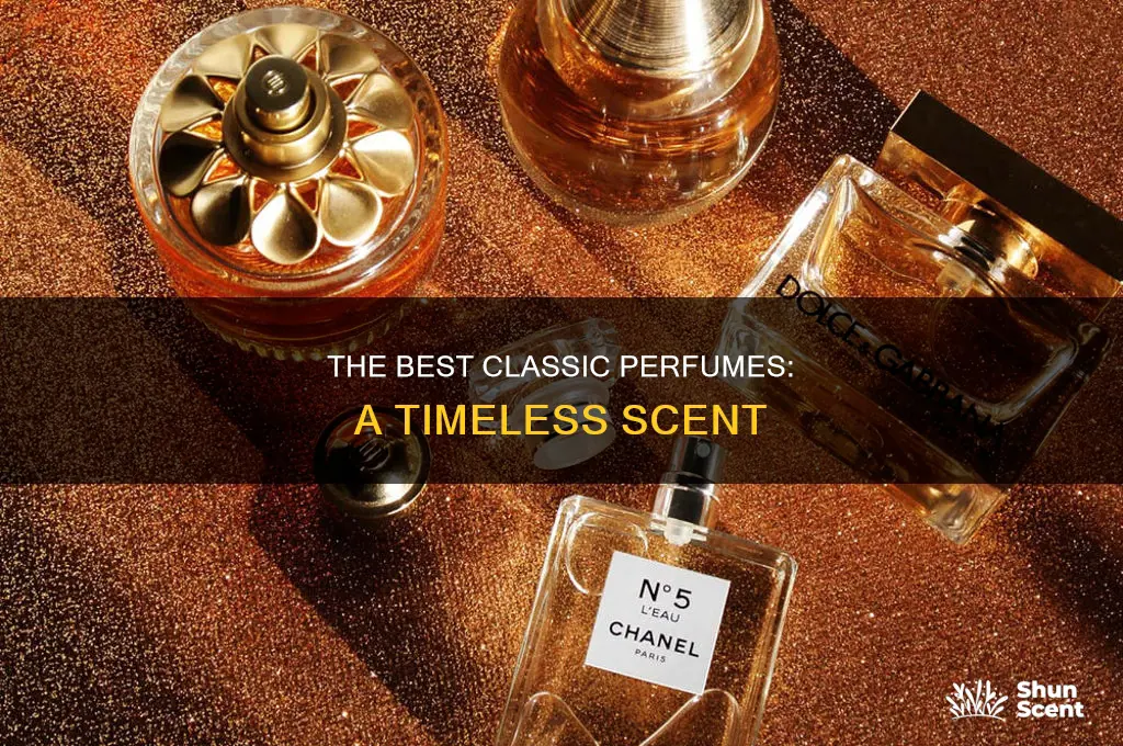 what is best classic perfume