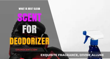 Fresh and Clean: The Ultimate Guide to Choosing the Best Deodorizer Scent