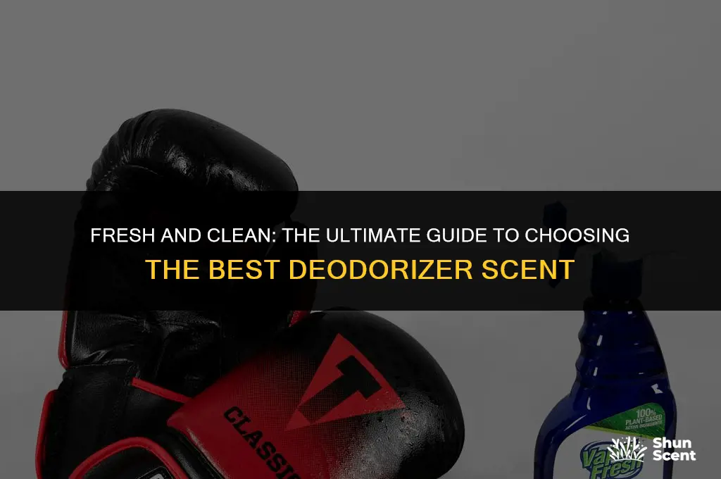what is best clean scent for deodorizer