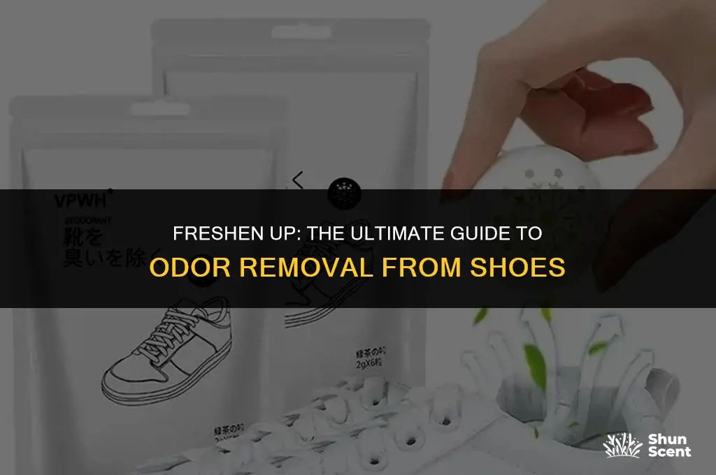 what is best for getting odor out of sh