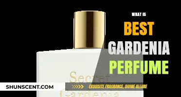 Gardenia Scents: The Best Perfumes for You