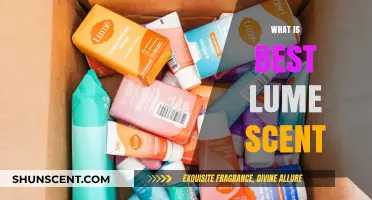 Discovering the Perfect Lume Scent: A Comprehensive Guide
