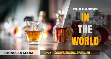 The World's Finest Scents: Top Perfumes