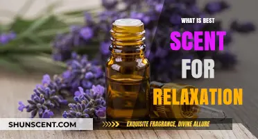 Unwind in Serenity: Discovering the Perfect Scent for Relaxation