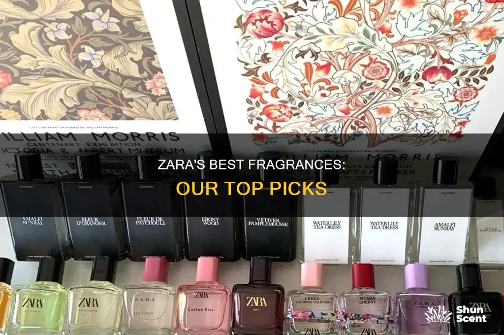 what is best zara perfume