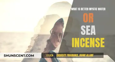 Mystic Water vs Sea Incense: Which is the Best?