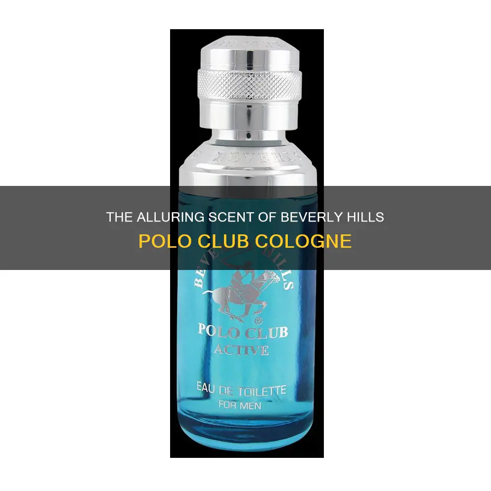 what is beverly hills polo club cologne smell like